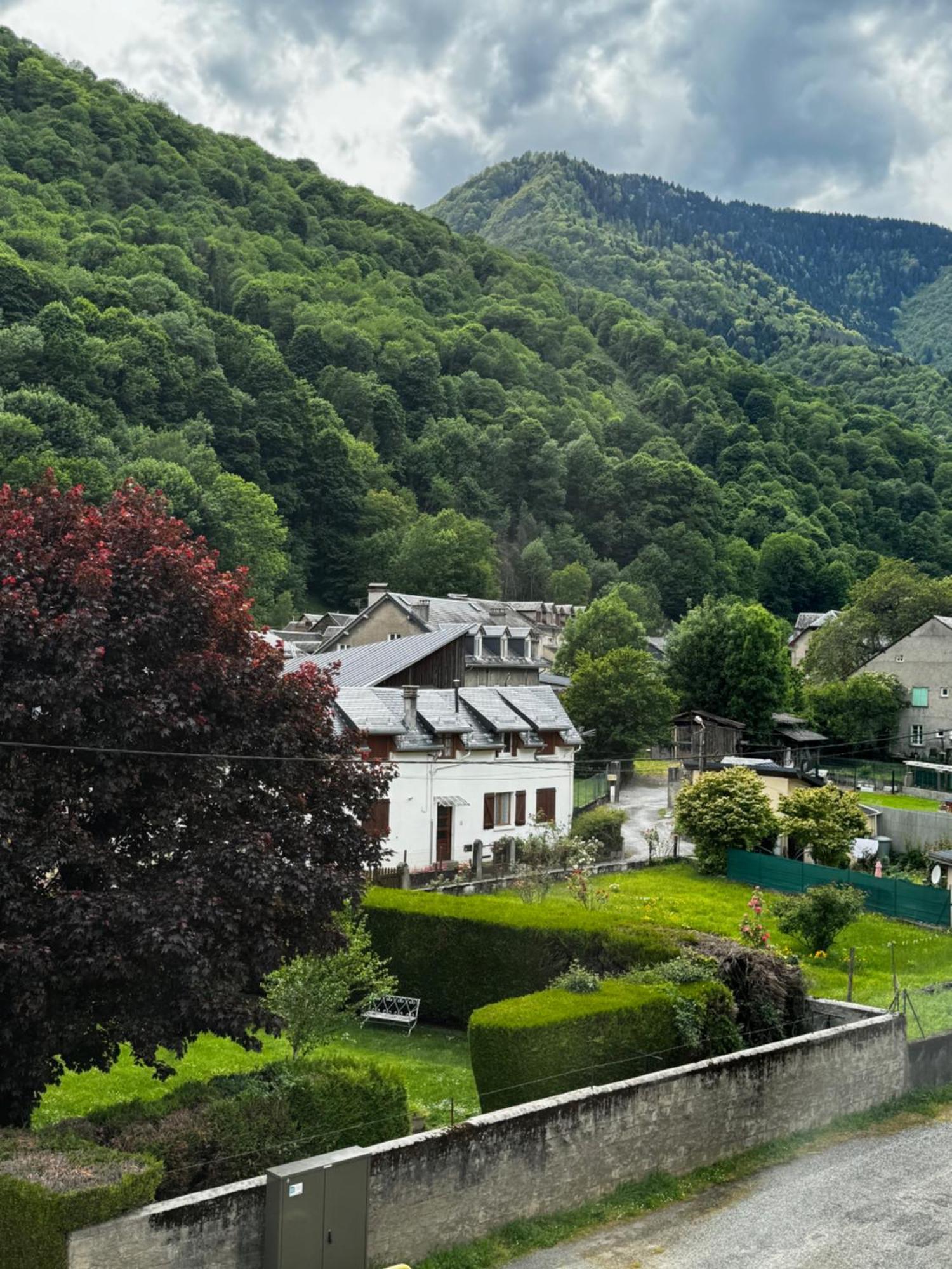 L'appart Du Maupas, T3, Wifi, Parking *